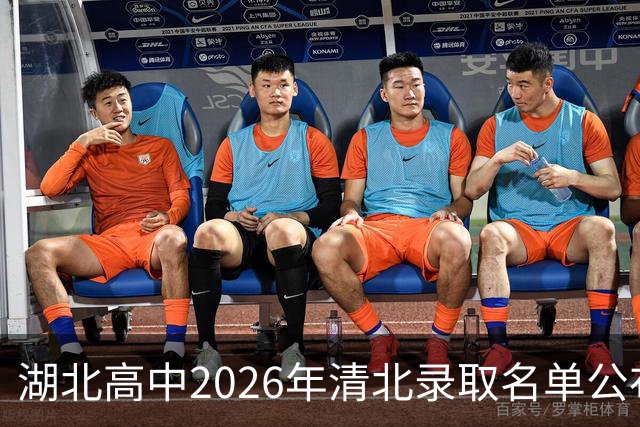 湖北高中2026年清北录取名单公布
