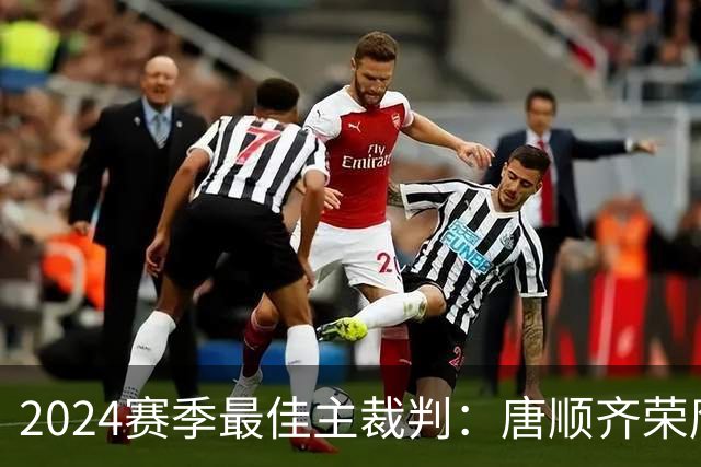 2024赛季最佳主裁判：唐顺齐荣膺金哨 马宁铜哨